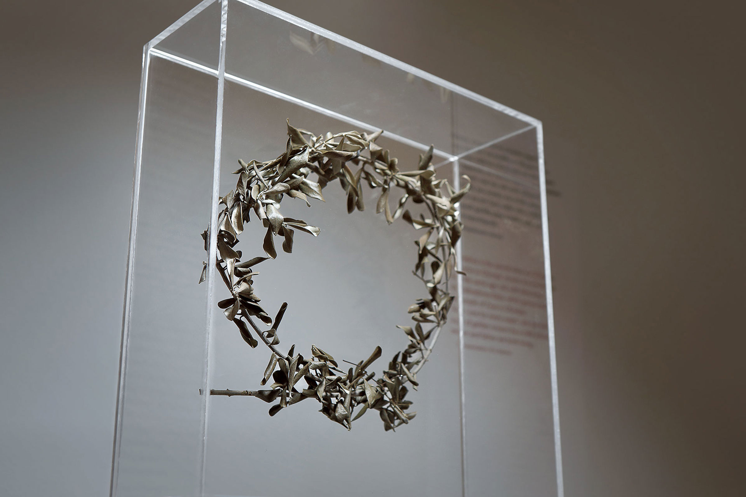 Olive wreath in display case